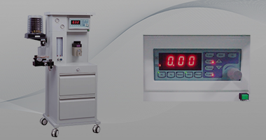 Shanghai Read Eagle Life Technology Co., Ltd.