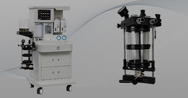 Shanghai Read Eagle Life Technology Co., Ltd.