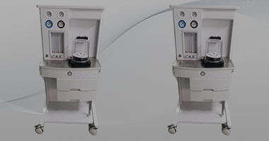 Shanghai Read Eagle Life Technology Co., Ltd.