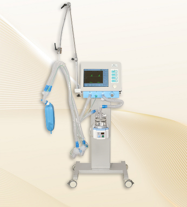 Shanghai Read Eagle Life Technology Co., Ltd.