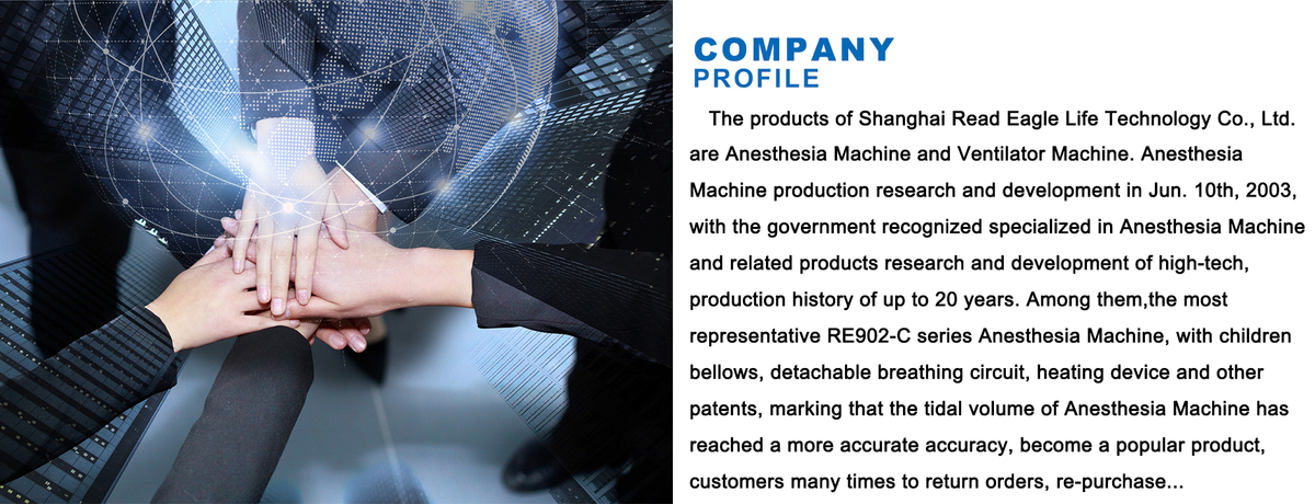 Shanghai Read Eagle Life Technology Co., Ltd.