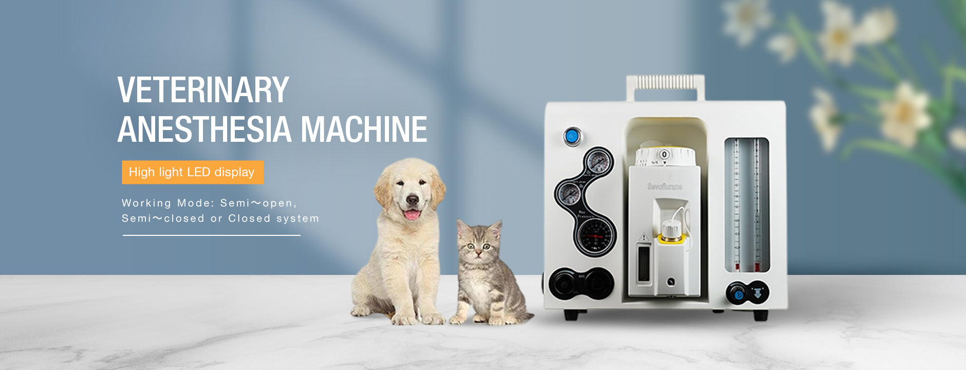 Shanghai Read Eagle Life Technology Co., Ltd.